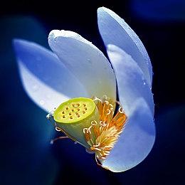 《原子之心》DLC敌人前瞻预告 夏季发售